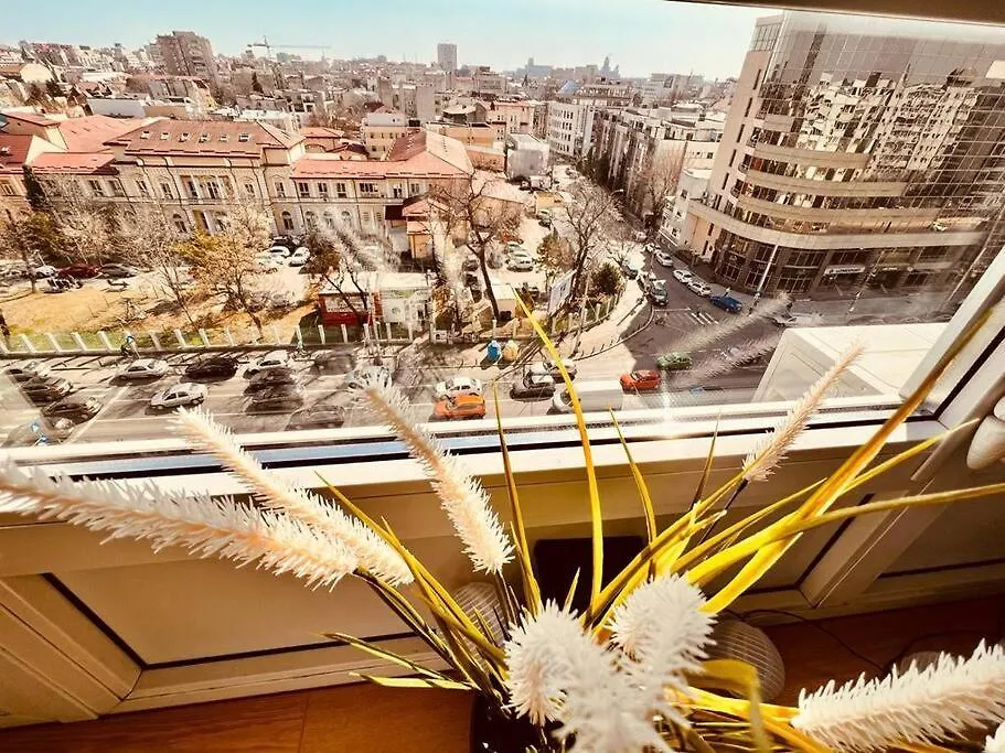 City View Studio In The Heart Of Bucharest Apartment Romania